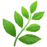 herb_1f33f Solutions naturelles